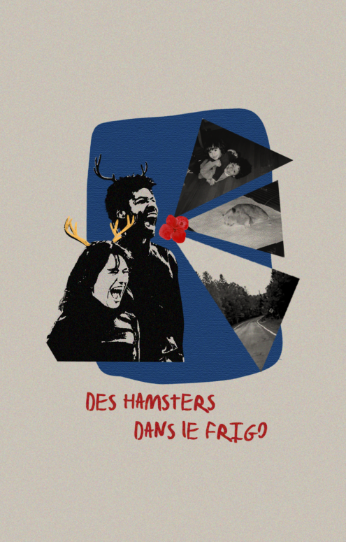 DES HAMSTERS DANS LE FRIGO