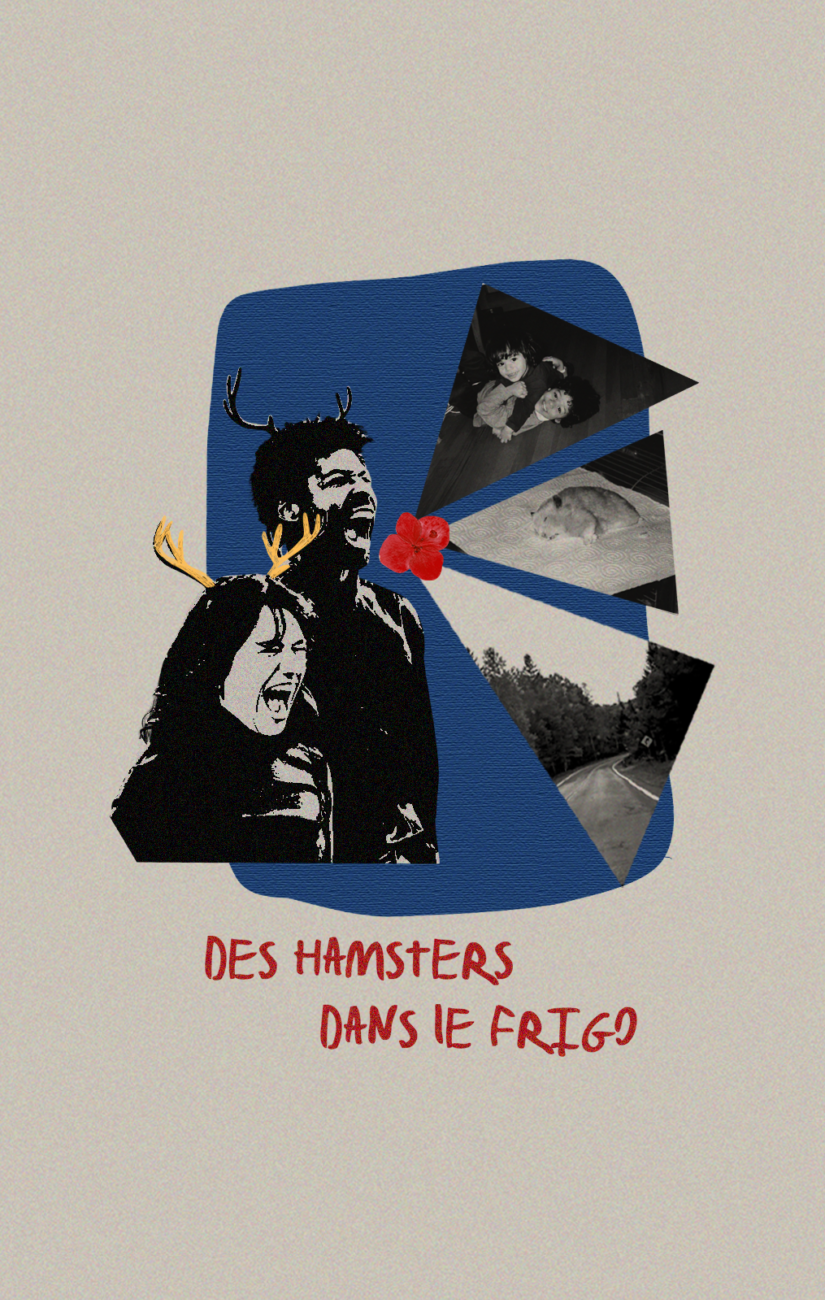 DES HAMSTERS DANS LE FRIGO